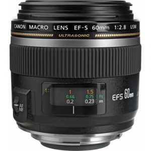 Canon EF-S 60mm f/2.8 Macro USM Lens - Image 3