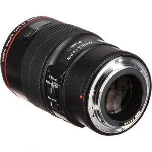 Canon EF 100mm f/2.8L Macro IS USM - Image 3