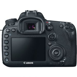Canon EOS 7D Mark II with 18-135mm f/3.5-5.6 STM Lens - Image 3